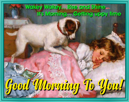 A Cute Good Morning Card For You.