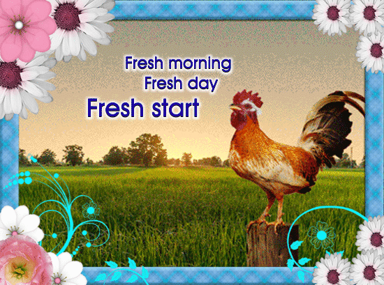 A Fresh Morning Day E-card.