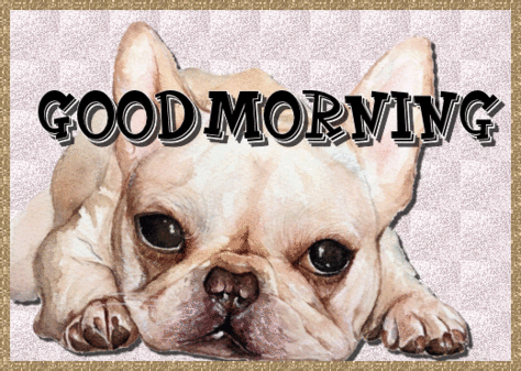 Good Morning Dog Wishes.