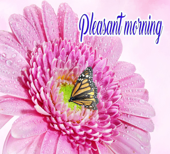 Pleasant Morning. Free Good Morning eCards, Greeting Cards | 123 Greetings