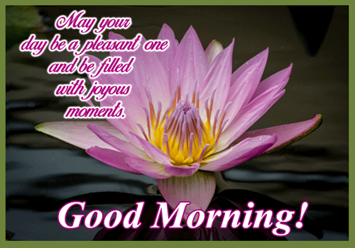 A Pleasant Morning! Free Good Morning eCards, Greeting Cards | 123 ...