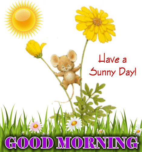 A Sunny Day Ecard For You.