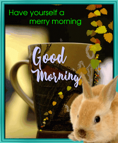 Have A Merry Morning...