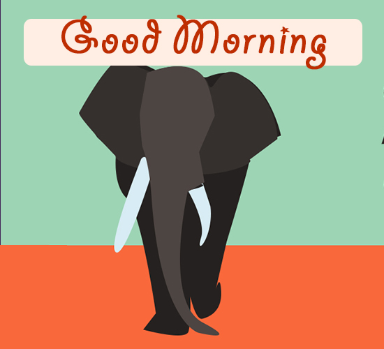 Good Morning Elephant. Free Good Morning eCards, Greeting Cards 123 Greetings