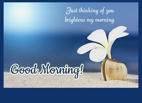 Bright Morning Wish!