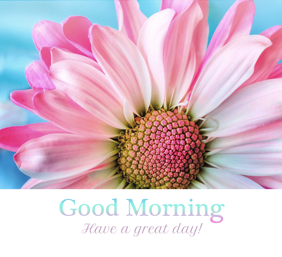 Fresh Pink Bloom Morning. Free Good Morning eCards, Greeting Cards ...