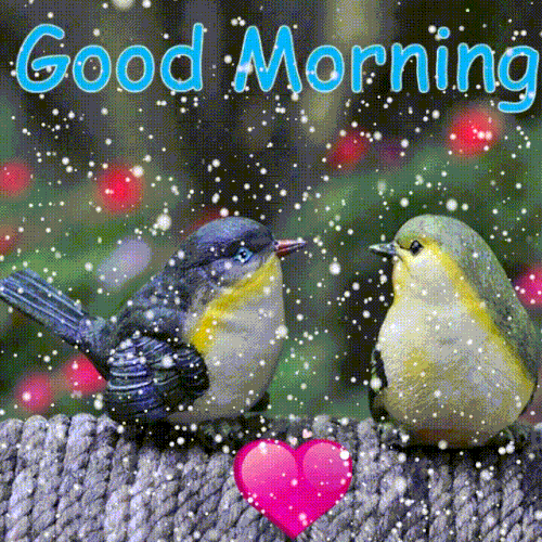 Snowfall Bird Good Morning.