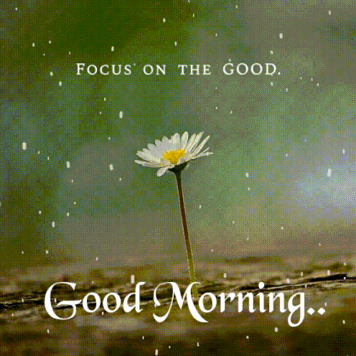 Focus On Good Morning.