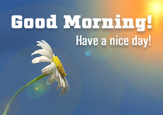 Good Morning! Wishing You A Great Day.