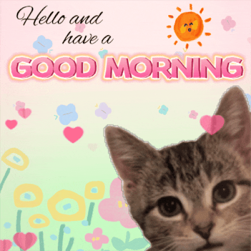 Have A Good Morning Card For You.