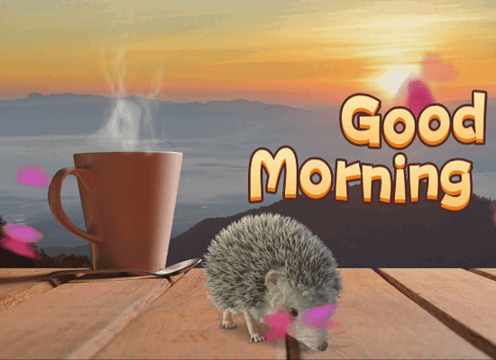 I Hope You Have A Fantastic Morning.