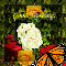 Spring Morning Butterfly.