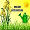 Good Morning And Enjoy Gardening.