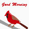 Good Morning Cardinal...