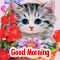 Good Morning Wish From Cute Kitty!