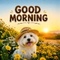 A Special Good Morning
