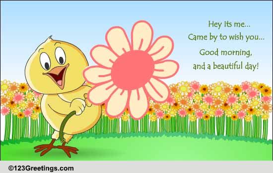 Chick With A Flower... Free Good Morning eCards, Greeting Cards | 123 ...
