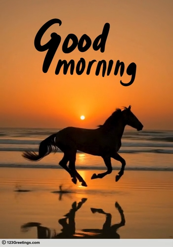 Rise To A Beautiful Morning.