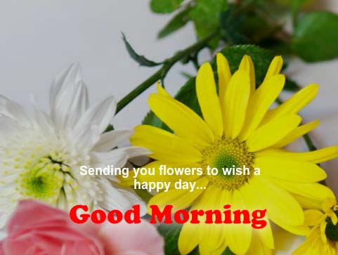 Flowers Wishing... Free Good Morning eCards, Greeting Cards | 123 Greetings