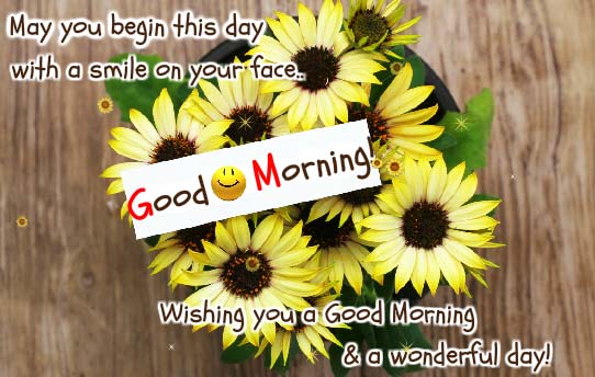 Beautiful Good Morning Flowers Ecard. Free Good Morning eCards | 123 ...