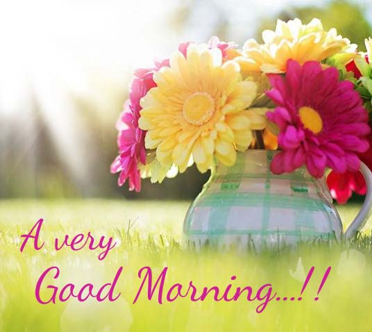 My Good Morning Wishes For You. Free Good Morning eCards, Greeting ...