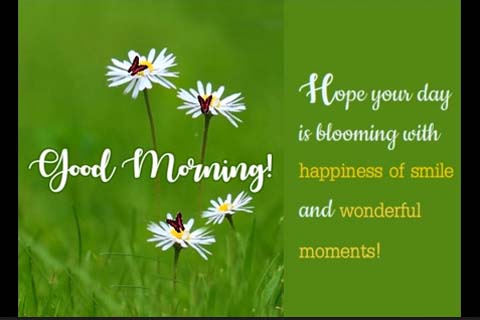 Day Blooms With Happiness Of Smile. Free Good Morning eCards | 123 ...