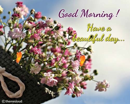 Wish You Happy Thoughts... Free Good Morning eCards, Greeting Cards ...