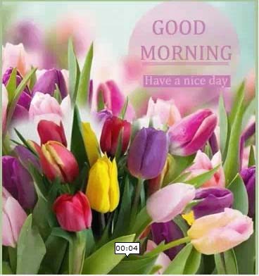 Good Morning & Have A Nice Day! Free Good Morning eCards | 123 Greetings