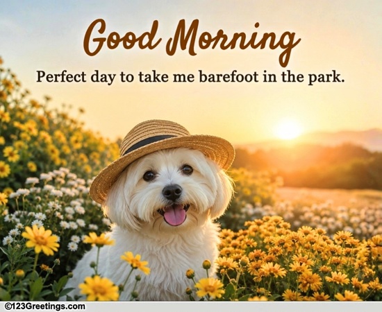 A Special Good Morning