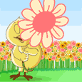 Chick With A Flower...