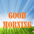 A Morning Wish...