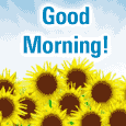 A Fresh Morning!