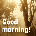 Morning!
