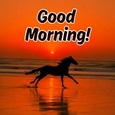 Rise To A Beautiful Morning.