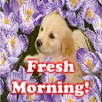 Morning Flowers Keep You Fresh!