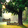 Spread Positive Rays Of Happiness.