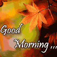 Cool Morning!