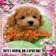 My Great Day Ecard!