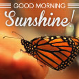 Morning, Sunshine!
