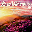 Everyday Good Morning Cards, Free Everyday Good Morning Wishes | 123 ...