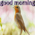 Good Morning With Cute Bird.