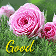 Wish You Happy Thoughts...