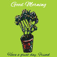 Good Morning, Green Pot.