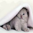 Rise And Shine Sweetheart.