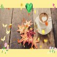 A Wonderful And Beautiful Morning.