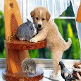 Today&#x92;s A Beautiful Day To Play!