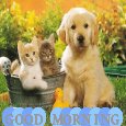 This Pleasant Morning.