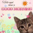 Have A Good Morning Card For You.