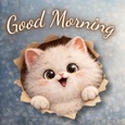 Send A Cute Good Morning Wish