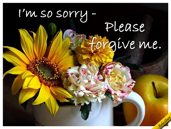 a-sincere-apology-free-sorry-ecards-greeting-cards-123-greetings